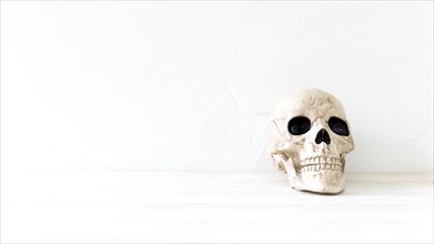 Spooky skull halloween