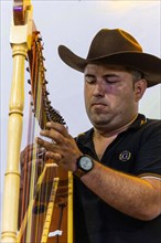 Musician playing the harp