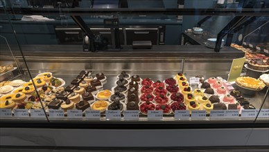 Various tartlets in a display in a patisserie