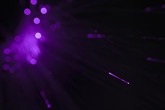 Optical fiber cables with purple light