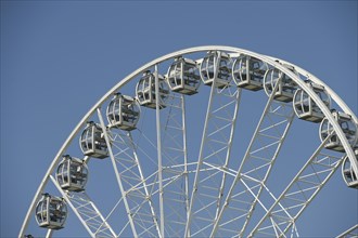 Circle of Life Ferris wheel