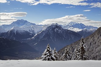 Mountains seen from Riederalp and snow covered spruce trees in winter in the Swiss Alps