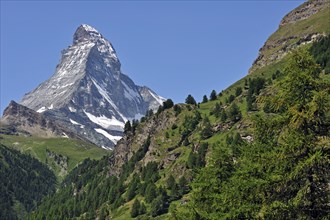 View over the Matterhorn mountain with alpine meadows and pine forests in the Swiss Alps