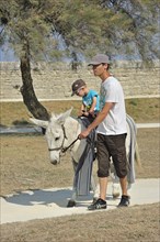 Child riding donkey with trousers at Saint-Martin-de-Re on the island Ile de Re