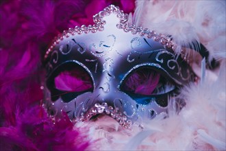 Close up carnival venetian mask soft feathers