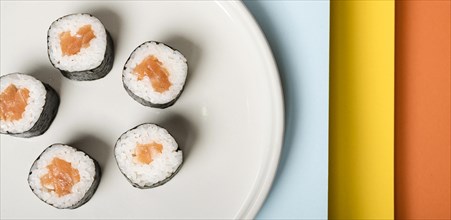 Minimalist plate with sushi rolls close up