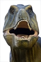 Reconstruction of a Tyrannosaurus rex