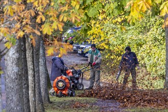 Autumn is the time for leaf blowers