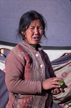 Portrait of a woman from the Changpa tribe