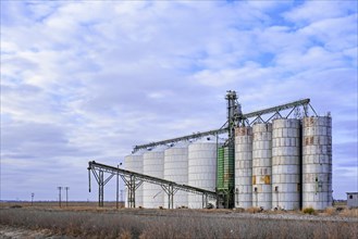 Silos connected to a grain elevator in Eastern Texas