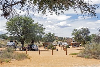 Twee Rivieren rest camp in the Kgalagadi Transfrontier Park in the Kalahari Desert
