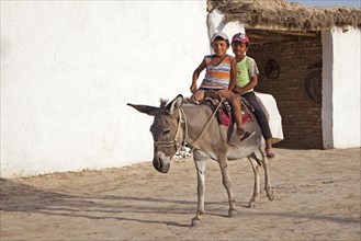 Two children riding a donkey