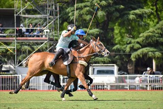 Scene from the 130th Argentine Open Polo Championship