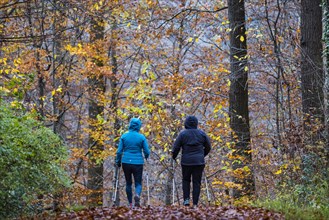 Two woman Nordic walking in the forest