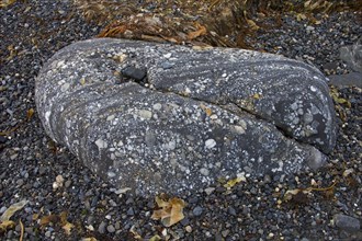 Rock formation on shingle beach along Gashamna