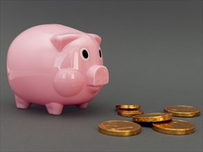 Pink piggy bank with golden coins