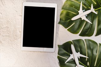 Toy planes monstera leaves tablet