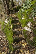 Mossy stone wall near the Unterlimpurg ruins