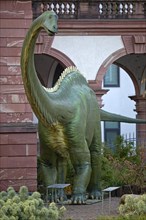 Reconstruction of a Dilpodocus longus in front of the Senckenberg Nature Museum
