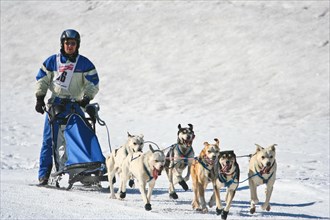 Double team with 6 dogs at a sled dog race