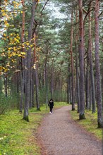 Young woman walks on forest path in autumn in Ystad