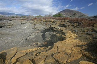 Volcanic landscape of Puerto Egas on Santiago Island