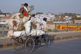 Tricycle rickshaw transporting children sitting on heavy load in Agra