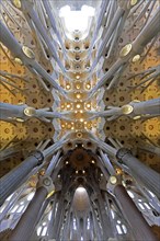 Ceiling vault of the Sagrada Familia or Basilica i Temple Expiatori de la Sagrada Familia