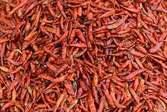 Red chilli peppers at the market