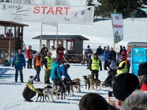 Starting point of the Sled Dog Racing World Championship