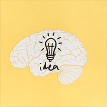 Idea word with light bulb inside brain yellow background