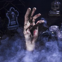 Zombie hand creepy raven halloween graveyard