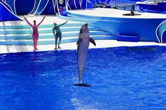 Dolphin Stadium