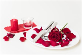 Red rose with cutlery plate