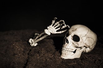Skull skeleton s hand ground