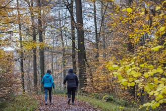 Two woman Nordic walking in the forest