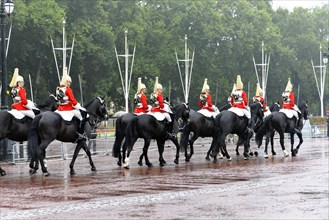 Horse Guard in the rain on the way from the changing of the guard