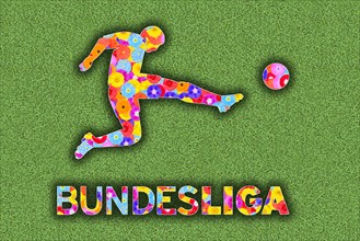 Logo first Bundesliga