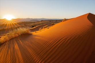 Dune in the Namib Desert