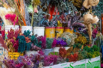 Colourful dried flowers at a flower stall