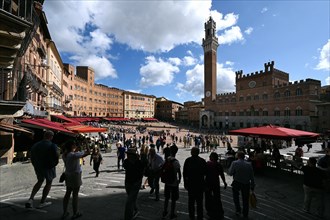 Piazza del Campo and Torre del Mangia