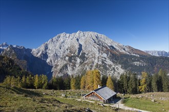 Mount Watzmann and wooden hut at Priesbergalm in the Berchtesgaden National Park