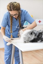Young female veterinarian injecting dog with injection table clinic