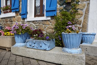 Flower pots in front of a house with natural stone walls in Paimpol