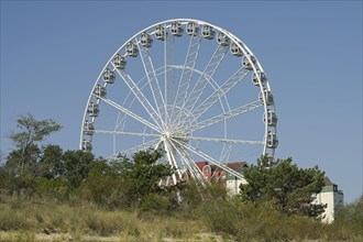 Circle of Life Ferris wheel