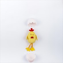 Toy small chicken with egg shell white table