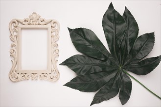 Wooden carving frame near green artificial leaf white backdrop