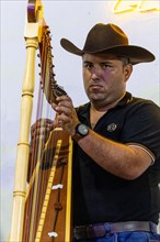 Musician playing the harp