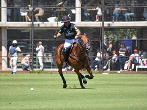 Francisco Elizalde from Team La Hache La Roca at the 130th Argentine Open Polo Championship