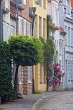 Row houses in the Engelswisch street at the Hanseatic town Luebeck
